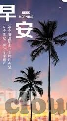 世界杯 全部亮相-世界杯全部亮相，激情与梦想的终极舞台